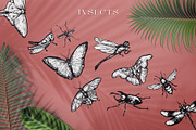 Tropica Collection, a Seasonal Illustration by Michael Rayback Design (Thumbnail 4 of 15)