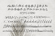 Palmero Bay Font, a Script Font by Lollipop Hand Drawn (Thumbnail 4 of 4)