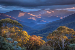 The beauty of Queensland, Australia, a Nature Photo by ZinetroN