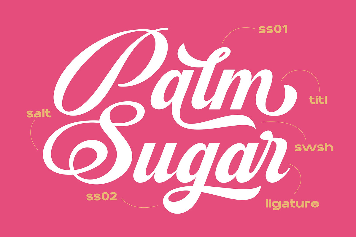 Blagkine - Bold Script, a Script Font by ErgibiStudio (Photo 5 of 11)