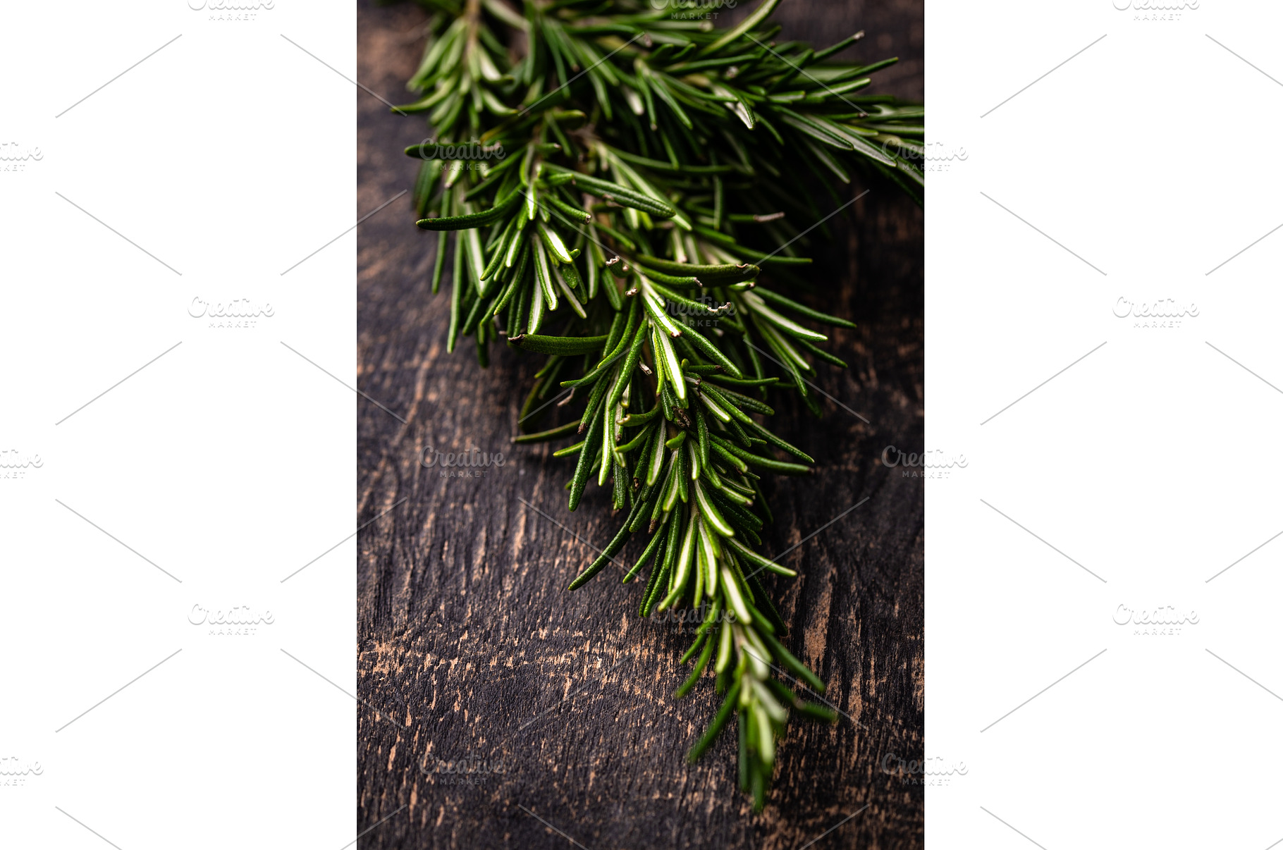 Rosemary, garlic, salt and pepper., a Food & Drink Photo by Yulia Furman