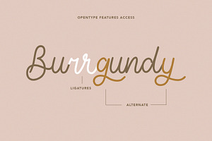 Tiffanky Monoline Cursive Font