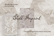 Shell Imprint textures, a Background Graphic by DigARTbyHavroshka (Thumbnail 1 of 12)
