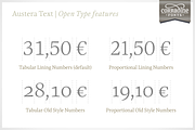 Austera Text Essential #2, a Serif Font by Corradine Fonts (Thumbnail 10 of 14)