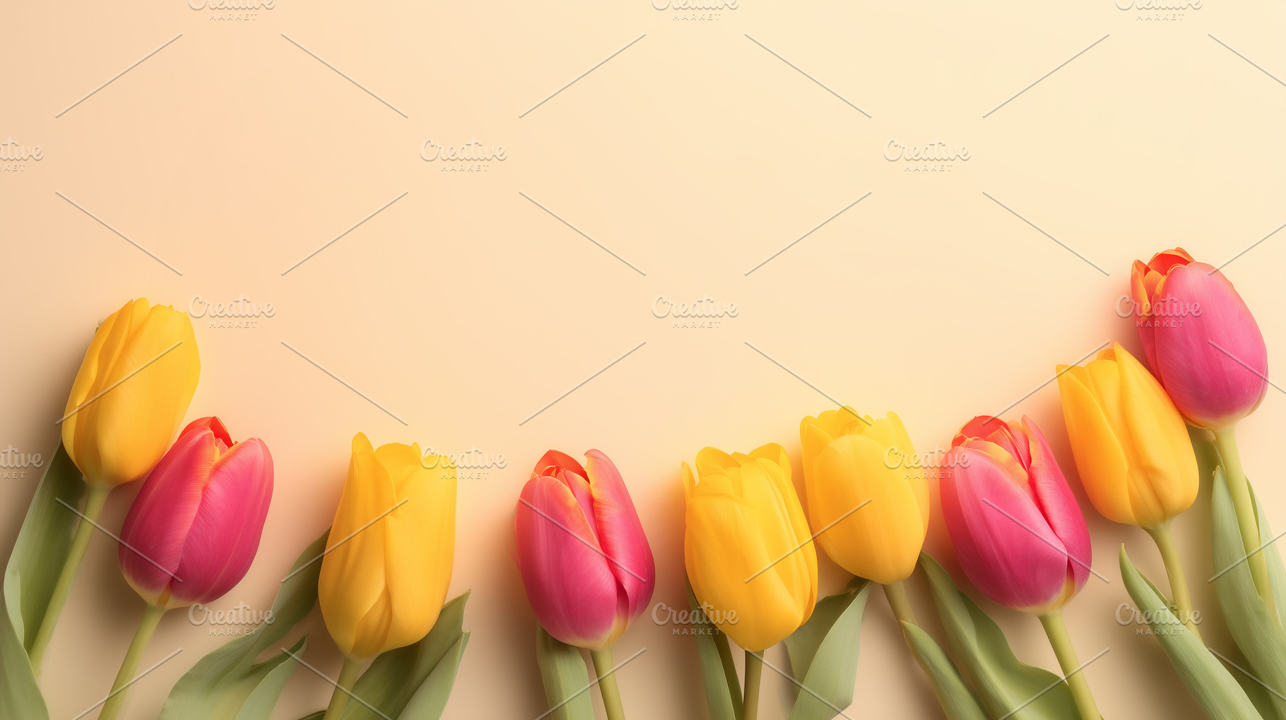 Yellow and pink tulips arranged, a Nature Photo by MistyDay
