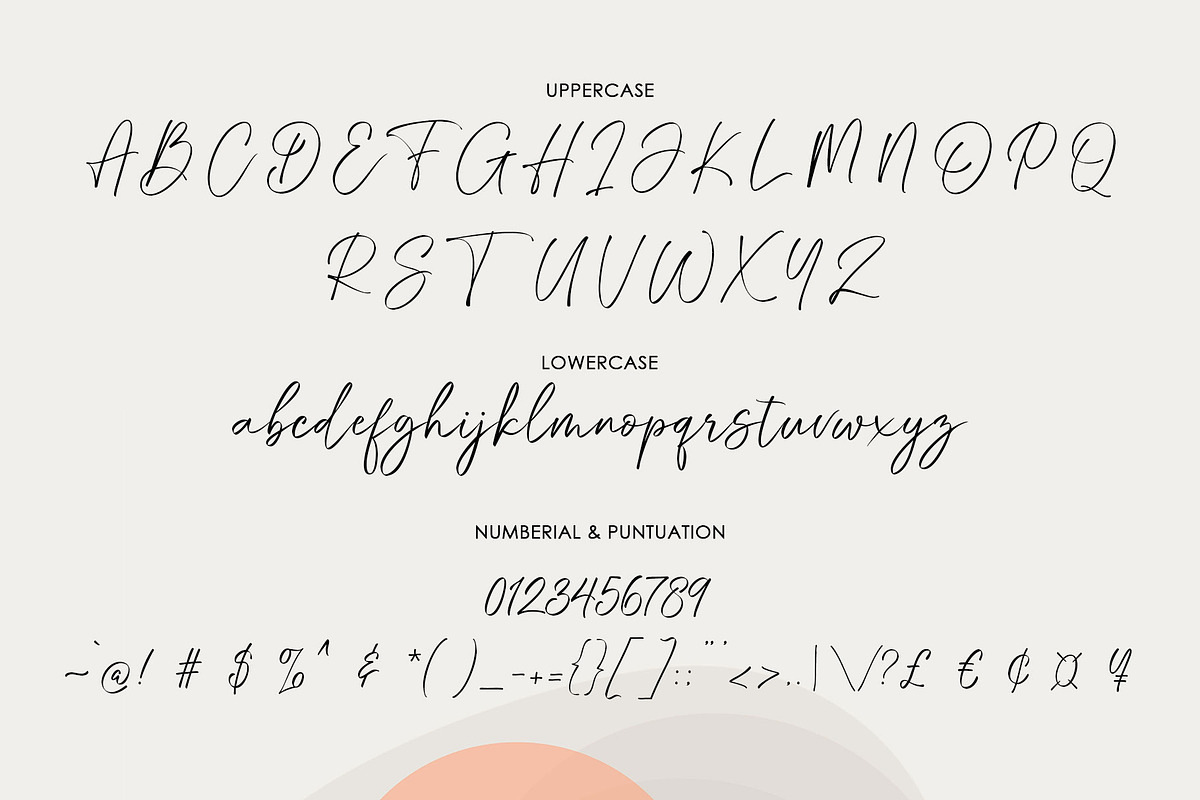 Fountain Script, a Script Font by moriztype (Photo 5 of 6)