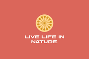 Amborella | Wide Display Typeface, a Sans Serif Font by Yesterday's Type (Thumbnail 3 of 3)