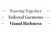 Dupioni - 6 font family, a Serif Font by Silktype (Thumbnail 3 of 21)
