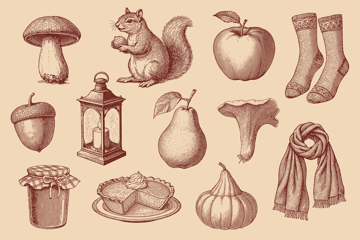 Vintage Autumn Illustrations, a Seasonal Illustration by Graphic Goods (Photo 7 of 8)