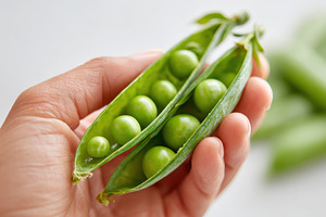 Fresh green peas in a pod, a Food & Drink Photo by AlyaAnd