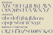 MENTAL HOLDING - ELEGANT FONT, a Serif Font by 177Studio (Thumbnail 7 of 8)