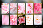 Floral Blurred Backgrounds, a Background Graphic by PaperJamLab (Thumbnail 3 of 13)