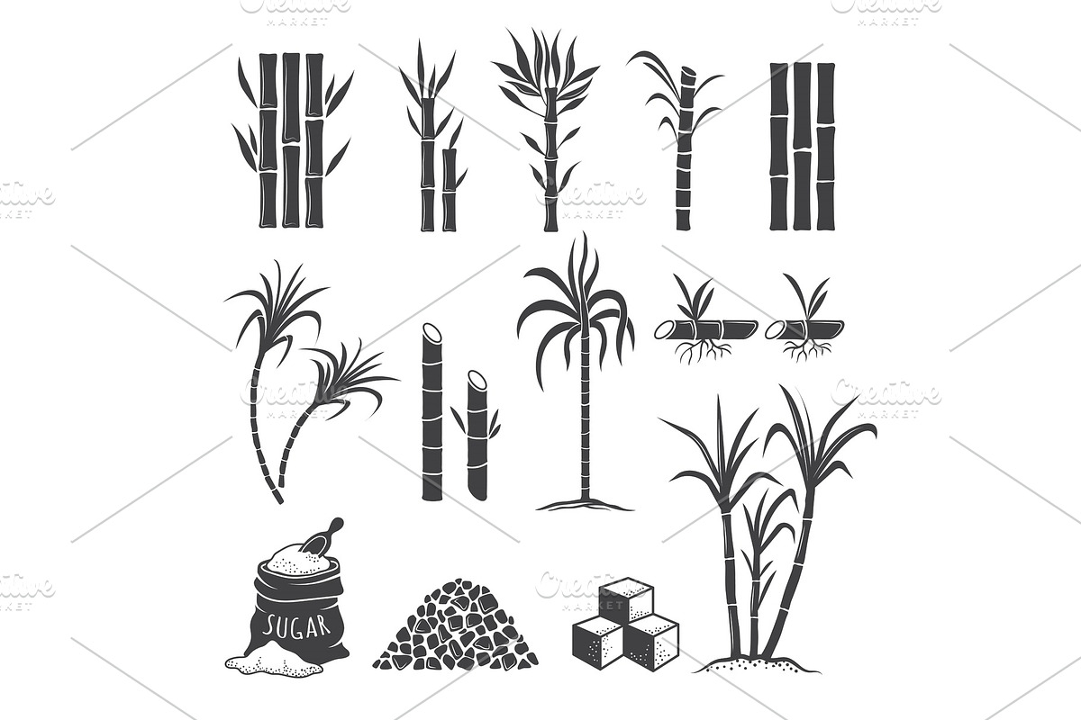 Sugarcane farm symbols. Sweets field, a Background Graphic by Onyx, image size:1200x800