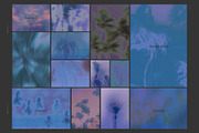 Bloom Mirage- Palm Mist, a Background Graphic by DigARTbyHavroshka (Thumbnail 7 of 11)