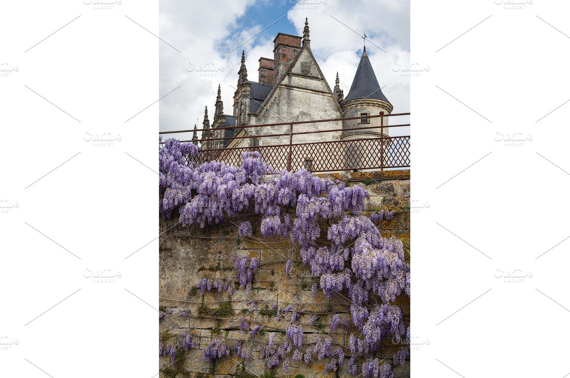 Chateau of Amboise during springtime, an Architecture Photo by MAnuta