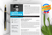 Resume/CV Bundle | 200+ for $29, a Resume Template by ResumeInventor (Thumbnail 198 of 207)