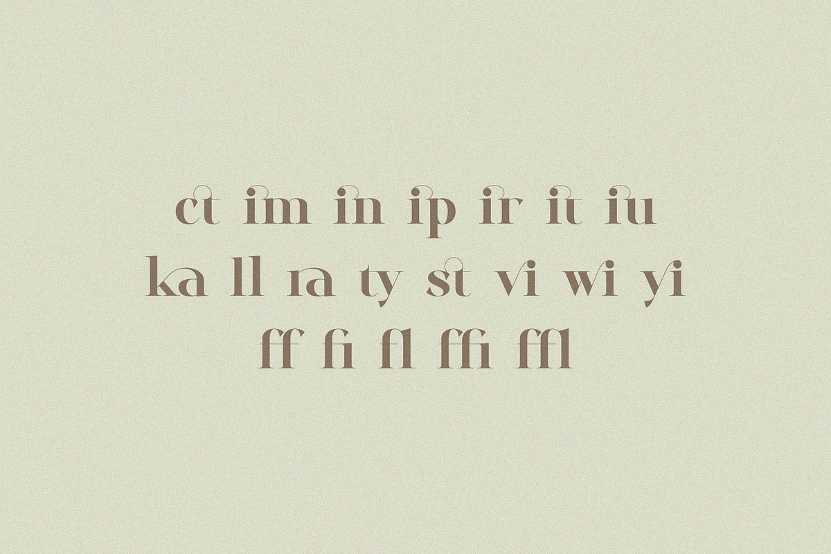 Ayilka - Elegant Display Serif, a Serif Font by BrandSemut (Photo 9 of 9)