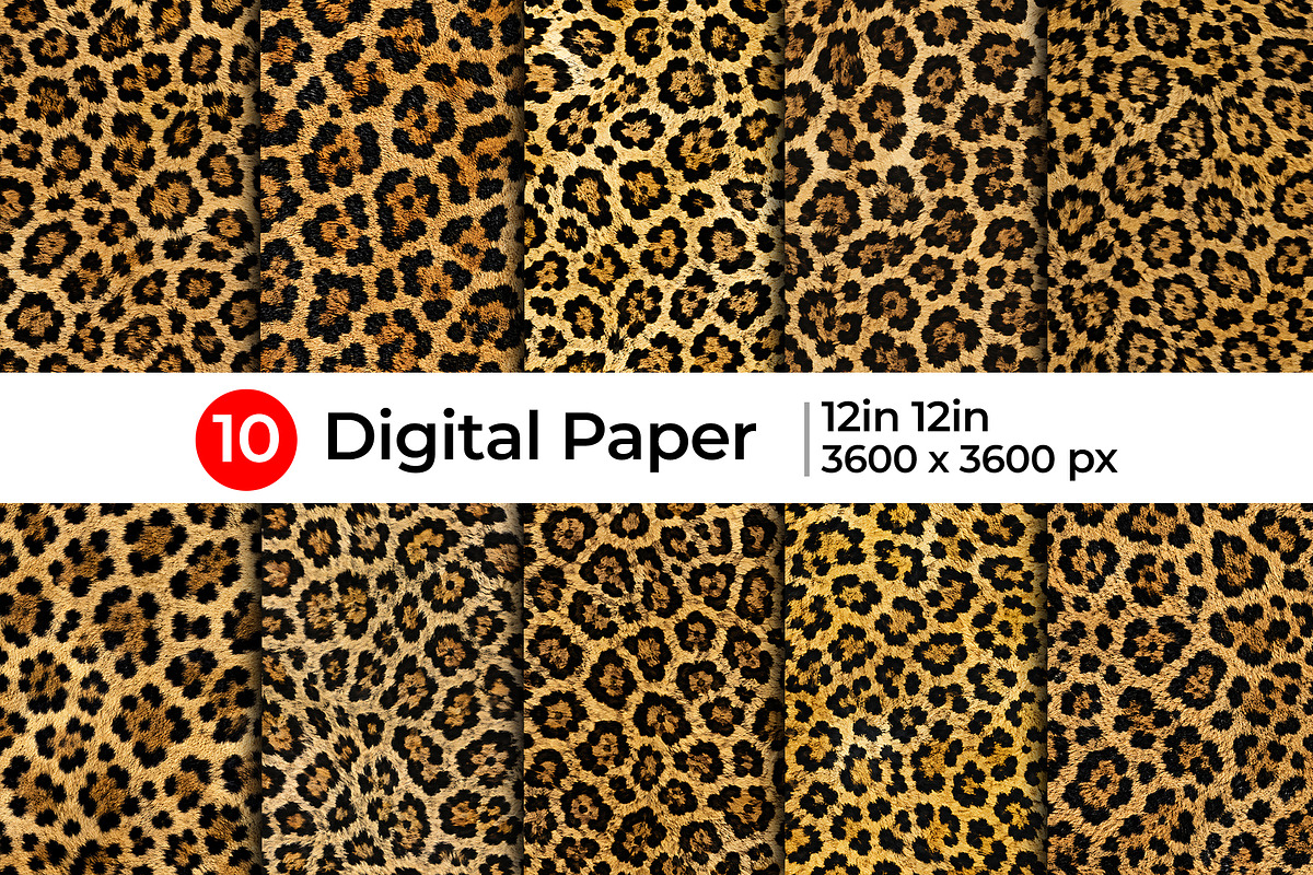 Realistic Leopard Print Fur Texture, a Pattern Graphic by Artonix (Photo 1 of 3)