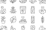 Stevia natural sweetener plant, an Object Graphic by pikepicture (Thumbnail 3 of 3)