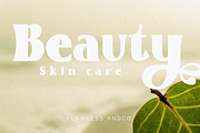 Boscho, a Symbol Font by Flawless And Co (Thumbnail 4 of 9)