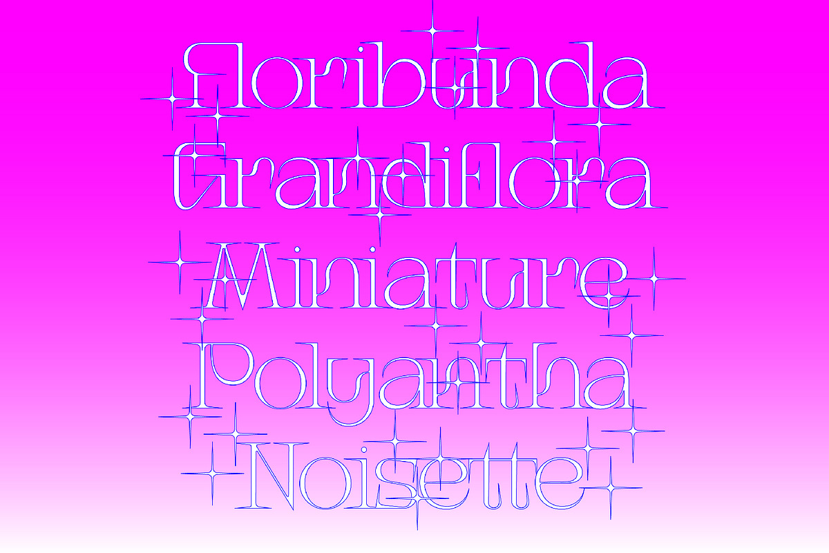 Iconique Serif Regular, a Serif Font by Nguyen Type (Photo 6 of 9)