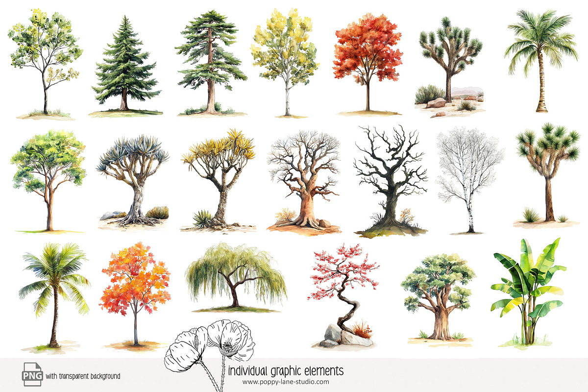100 watercolour global tree clip art, a Seasonal Illustration by Poppy Lane Studio (Photo 3 of 11)