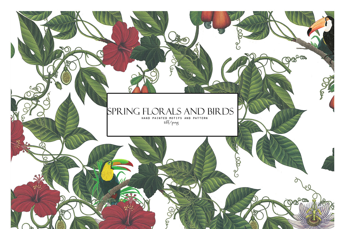 SPRING FLOWERS AND BIRDS PATTERN, a Pattern Graphic by gmzgns (Photo 1 of 8)