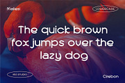 Mallesi Modern Sans, a Sans Serif Font by 160 Studio (Thumbnail 4 of 13)