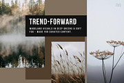 Forest Stock Photos | Moody Woodland, a Nature Photo by Tale.Haus (Thumbnail 5 of 20)