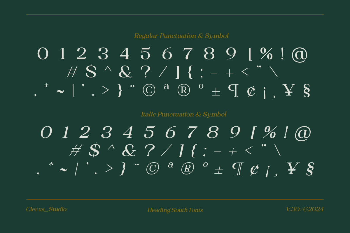 Heading South | Retro serif, a Serif Font by ClevUs (Photo 13 of 14)