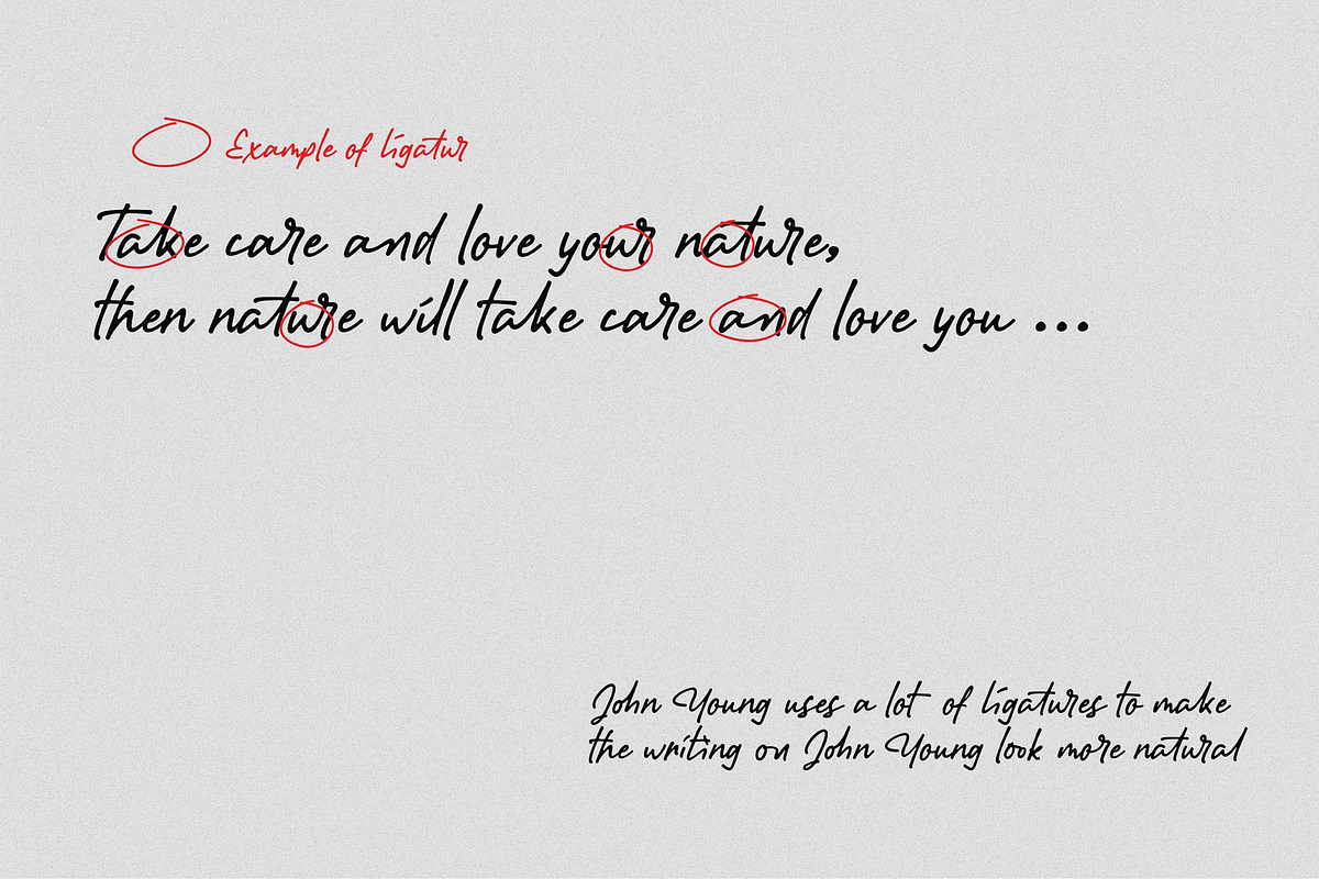 John Young, a Script Font by Secondivison Supply (Photo 3 of 8)