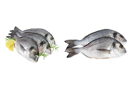 Fish dorado isolated on white, a Food & Drink Photo by NataPhoto