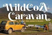 Natural Royale Bold Serif Font, a Serif Font by timelesstype.co (Thumbnail 9 of 20)