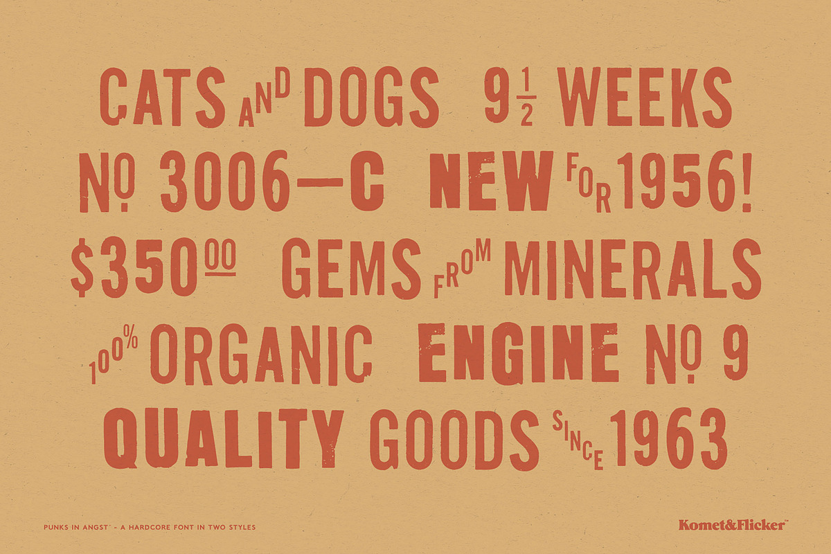 Punks in Angst - A Hardcore Font, a Sans Serif Font by Komet & Flicker (Photo 6 of 15)