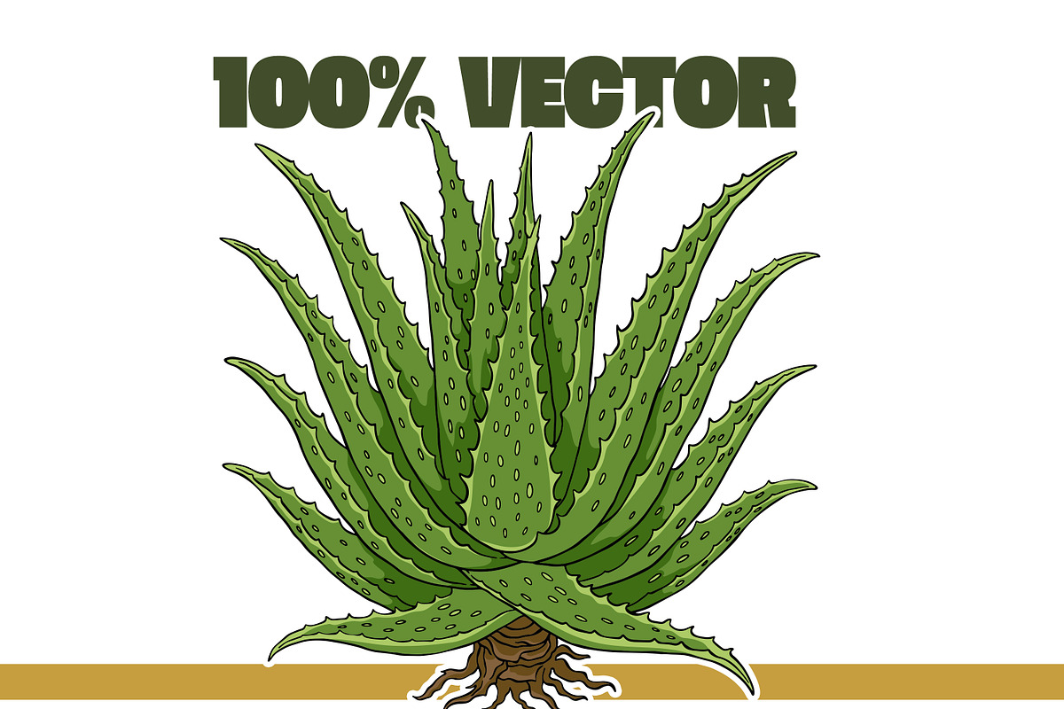Succulent Illustration Pack, an Illustration by Tekuni (Photo 8 of 13)