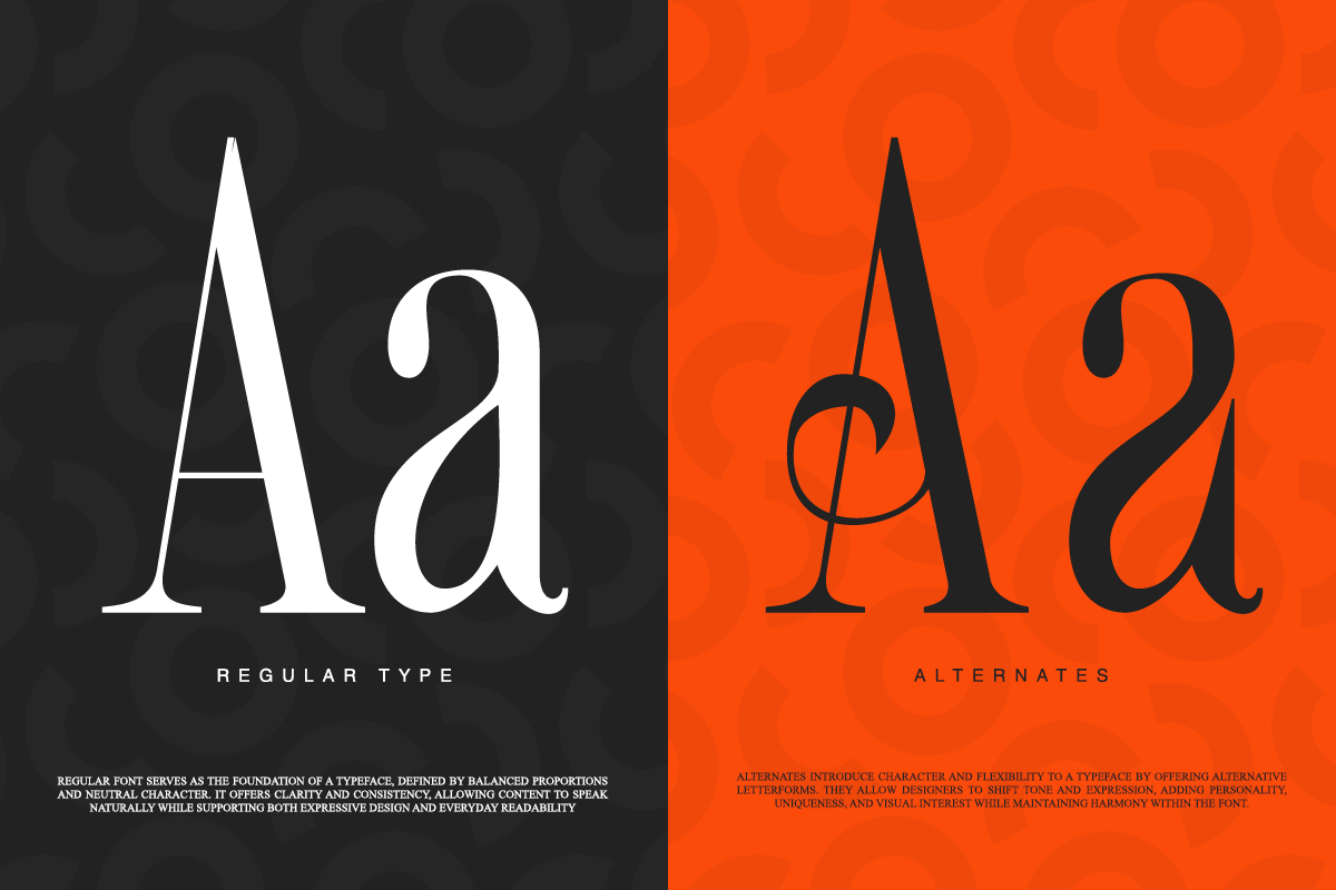 Romier Murilo Condensed Serif Font, a Serif Font by Rasio Studio (Photo 4 of 11)