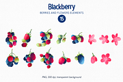 Blackberry fruits and leaves clipart, a Food Illustration by Harmony Draws (Thumbnail 4 of 6)