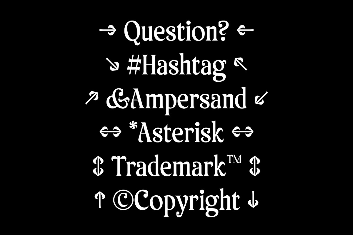 AO Tenko - Display Typeface, a Serif Font by OwunStudio (Photo 15 of 15)