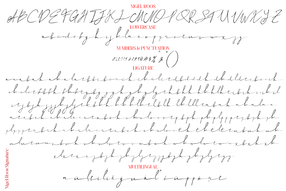 Nigel Roos Signature, a Script Font by madeDeduk (Photo 2 of 8)
