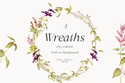 Wildflower spring watercolor florals, a Decorative Illustration by Grace Noboa Illustrations (Thumbnail 6 of 9)