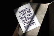 Begosta Modern Display Serif, a Serif Font by timelesstype.co (Thumbnail 6 of 20)