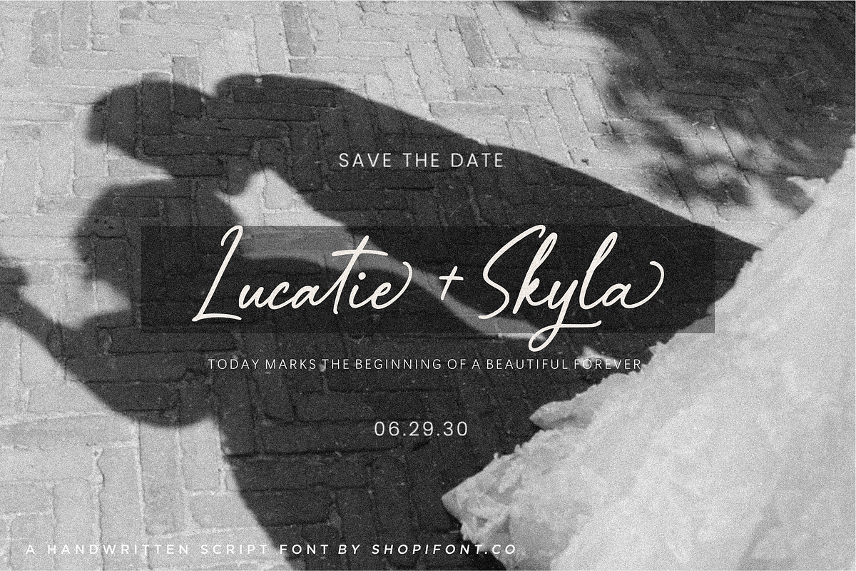Railleu Mychelia, a Script Font by Shopifont.co (Photo 5 of 13)