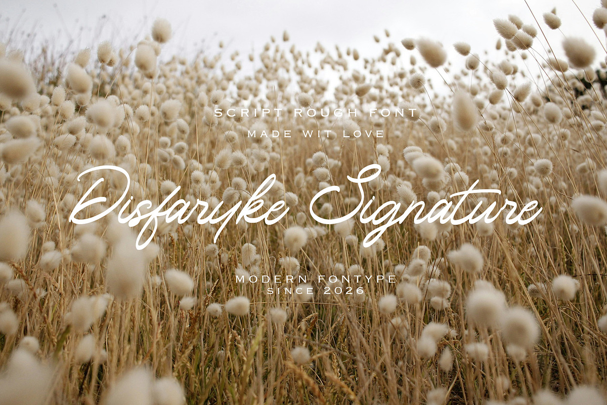 Slimty Fagkrey, a Handwritten Font by HaKi Studio (Photo 4 of 7)