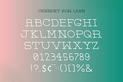 Cannery Row Slab Serif Display Font, a Slab Serif Font by Holt510 (Thumbnail 4 of 11)