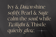 Perfect Harmony - Aesthetic Serif, a Serif Font by Sarid Ezra (Thumbnail 3 of 9)