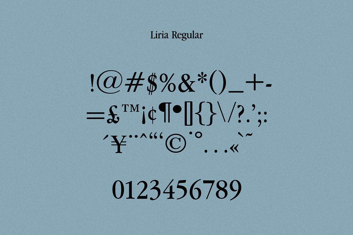 Liria Serif Typeface, a Serif Font by Nomad Visuals (Photo 11 of 12)