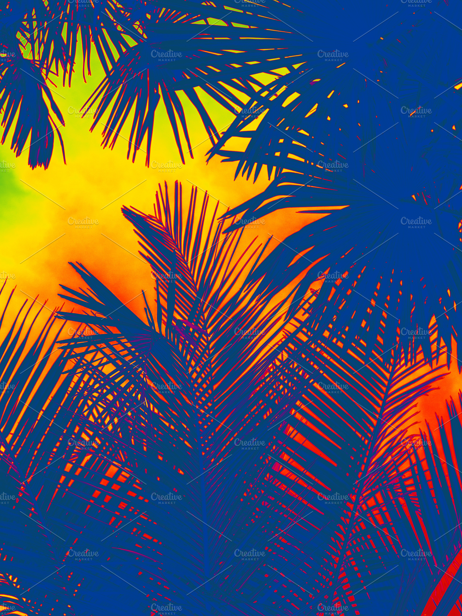 tropical leaves. sunset in the fores, a Holiday Photo by My world is my eyes