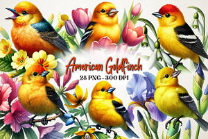 Spring American Goldfinch Clipart, a Work Illustration by OK Design