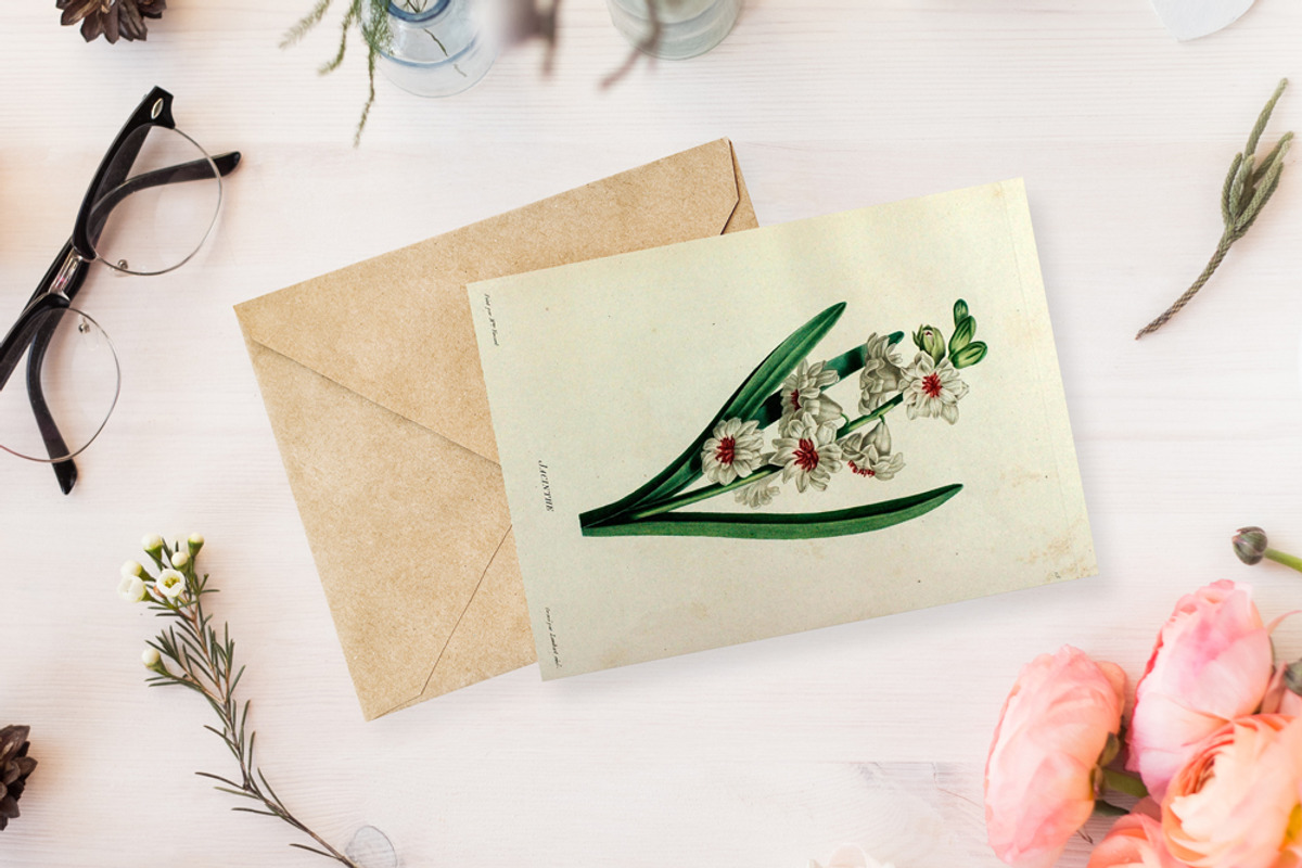 5x Isolated Flower Illustration (02), an Object Graphic by Europe.graphics (Photo 2 of 7)