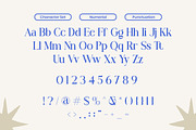 Goneva - Modern Serif Typeface Font, a Serif Font by Flawless And Co (Thumbnail 9 of 10)